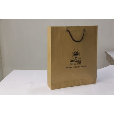 Take Away Paper Bag